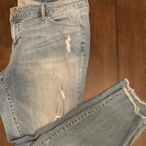 TORRID distressed denim Capris